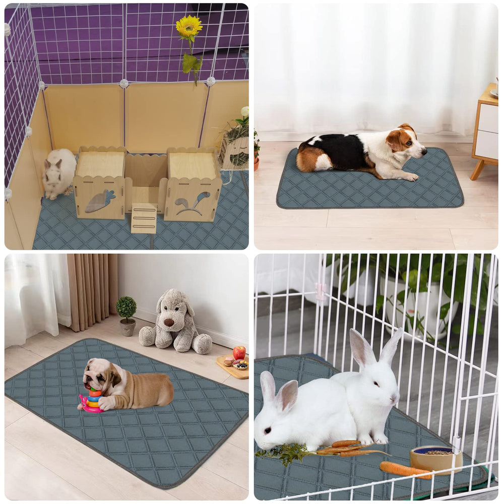 Usage polyvalent Mooydee pour cobaye et autres petits animaux.