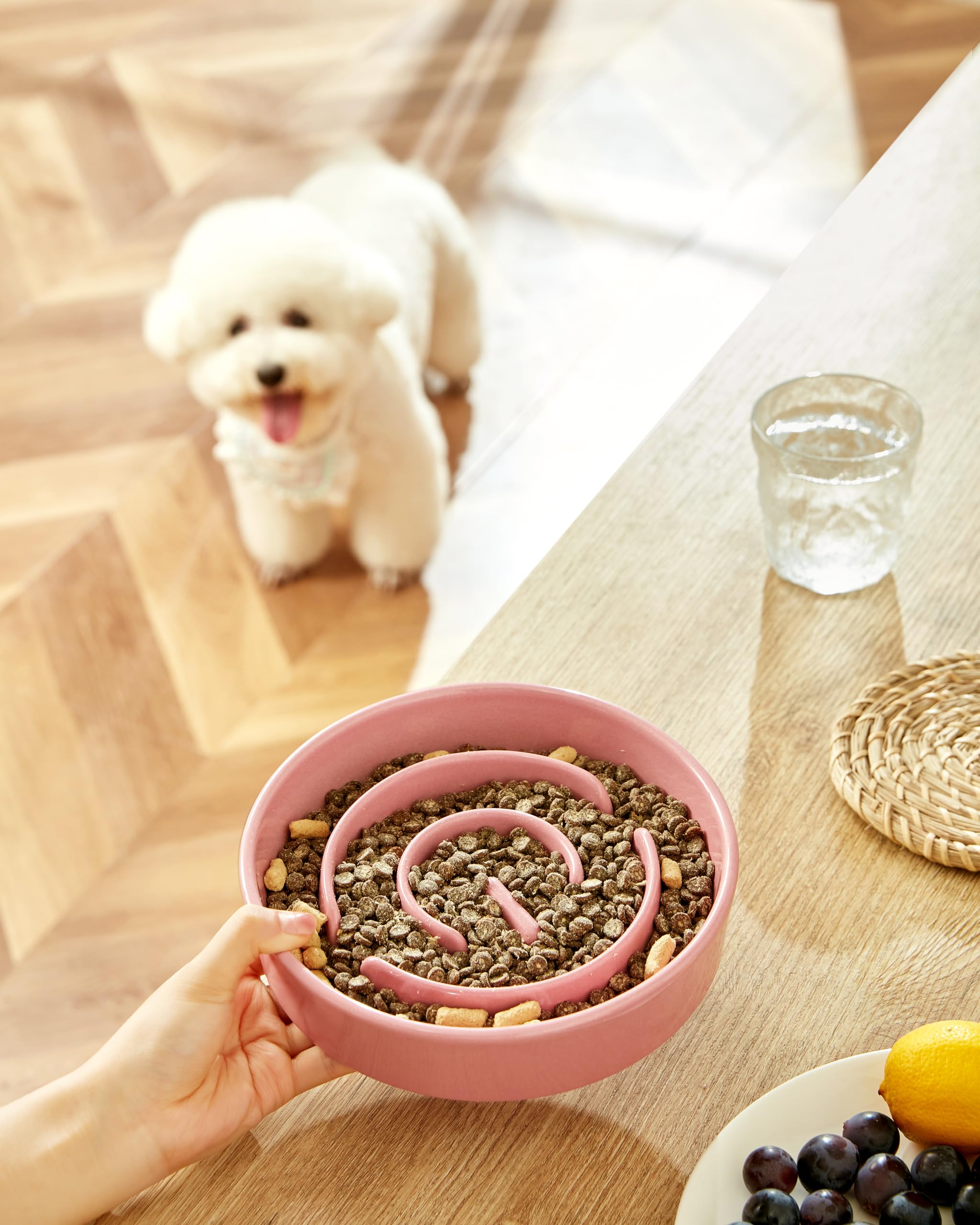 Bol MOPANG en céramique 20 cm, idéal pour chiens de taille moyenne