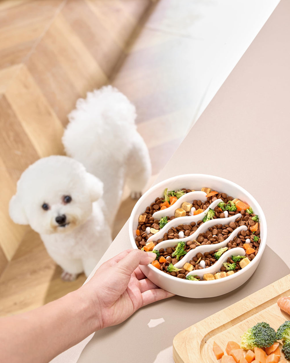 Bol ralentisseur MOPANG en céramique pour chien grand – stabilité et repas contrôlés