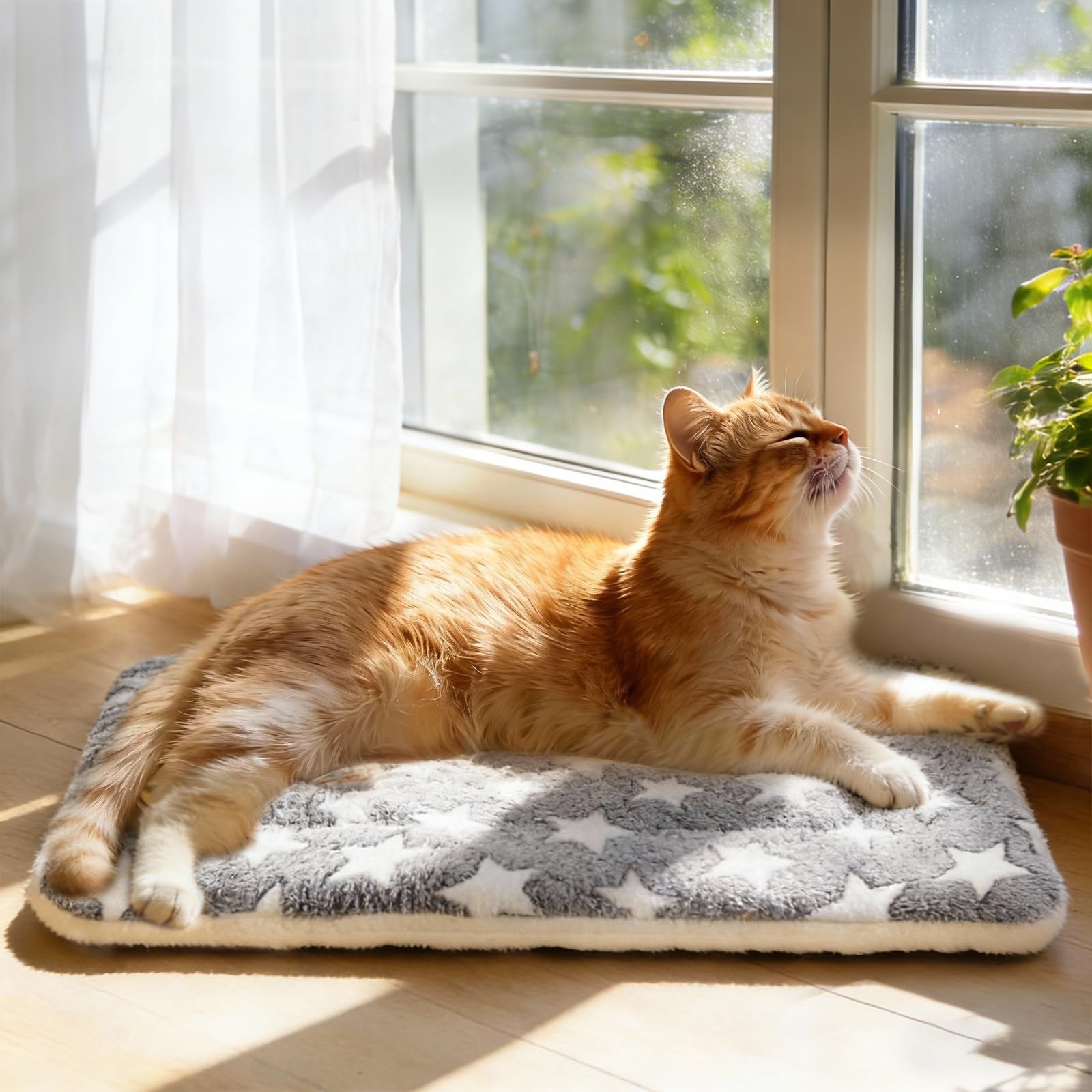 Mora Pets nid transport, idéal pour voiture et cages.