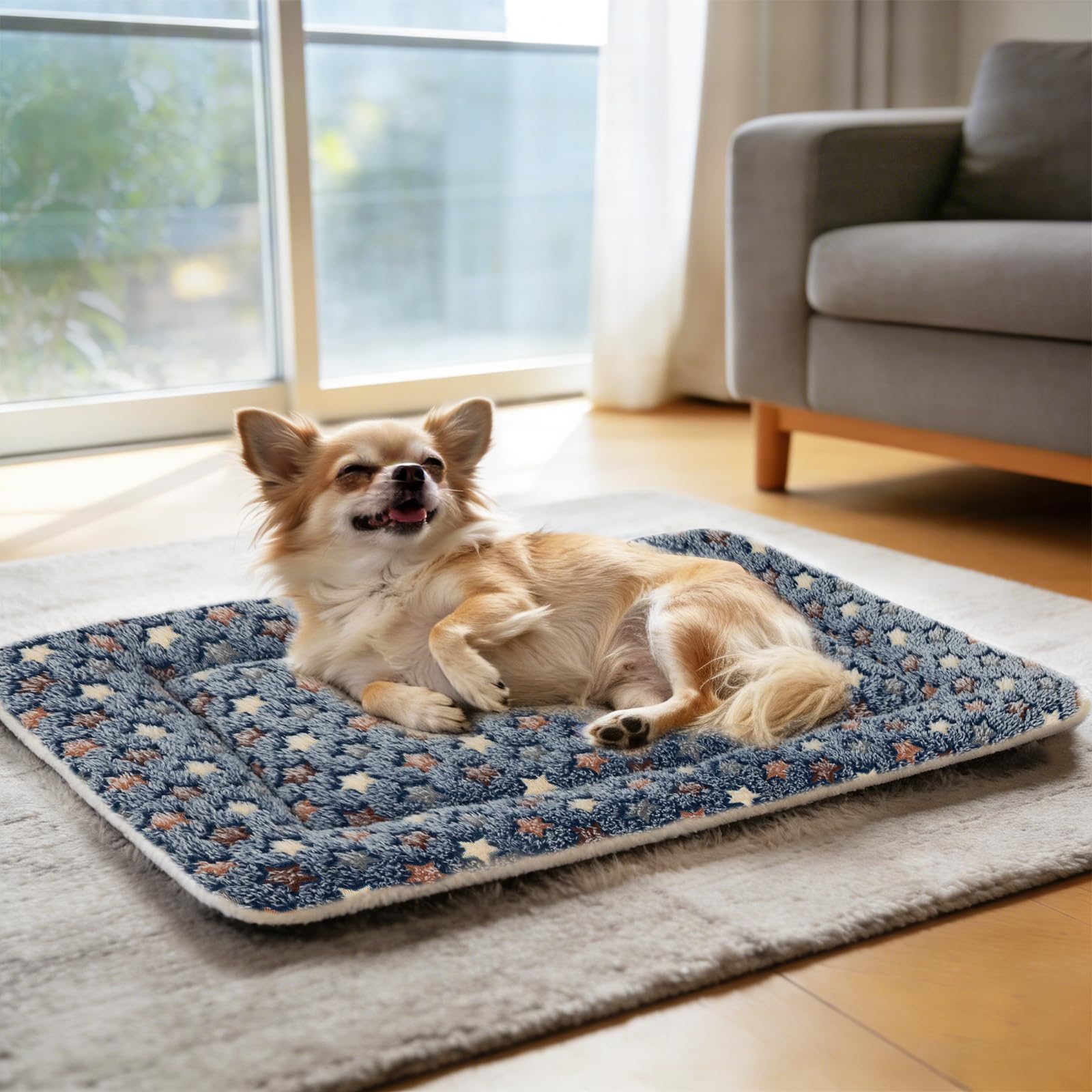 Tapis Mora Pets idéal dans caisse, transport et véhicule pour chien ou chat en déplacement.