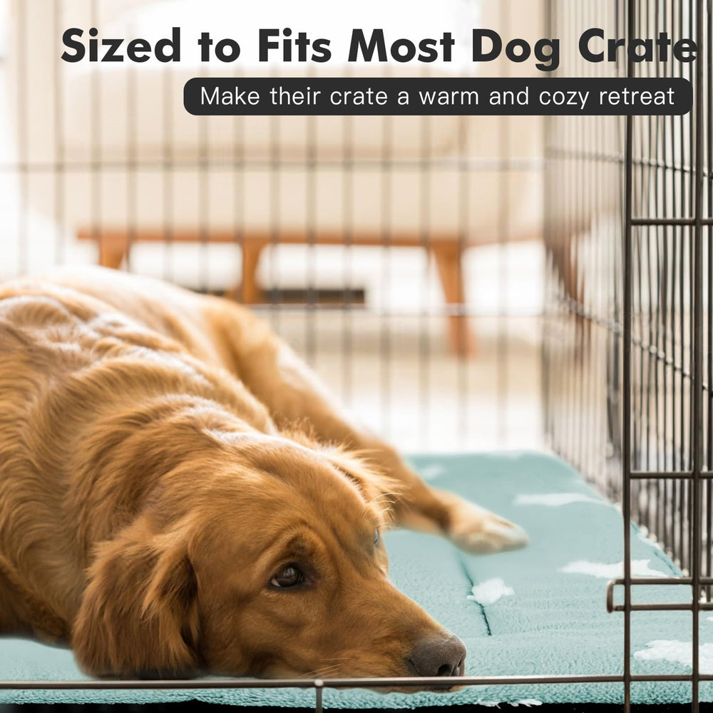 Mora Pets tapis polyvalent cage chiens chat bleu, usage intérieur et voyage.