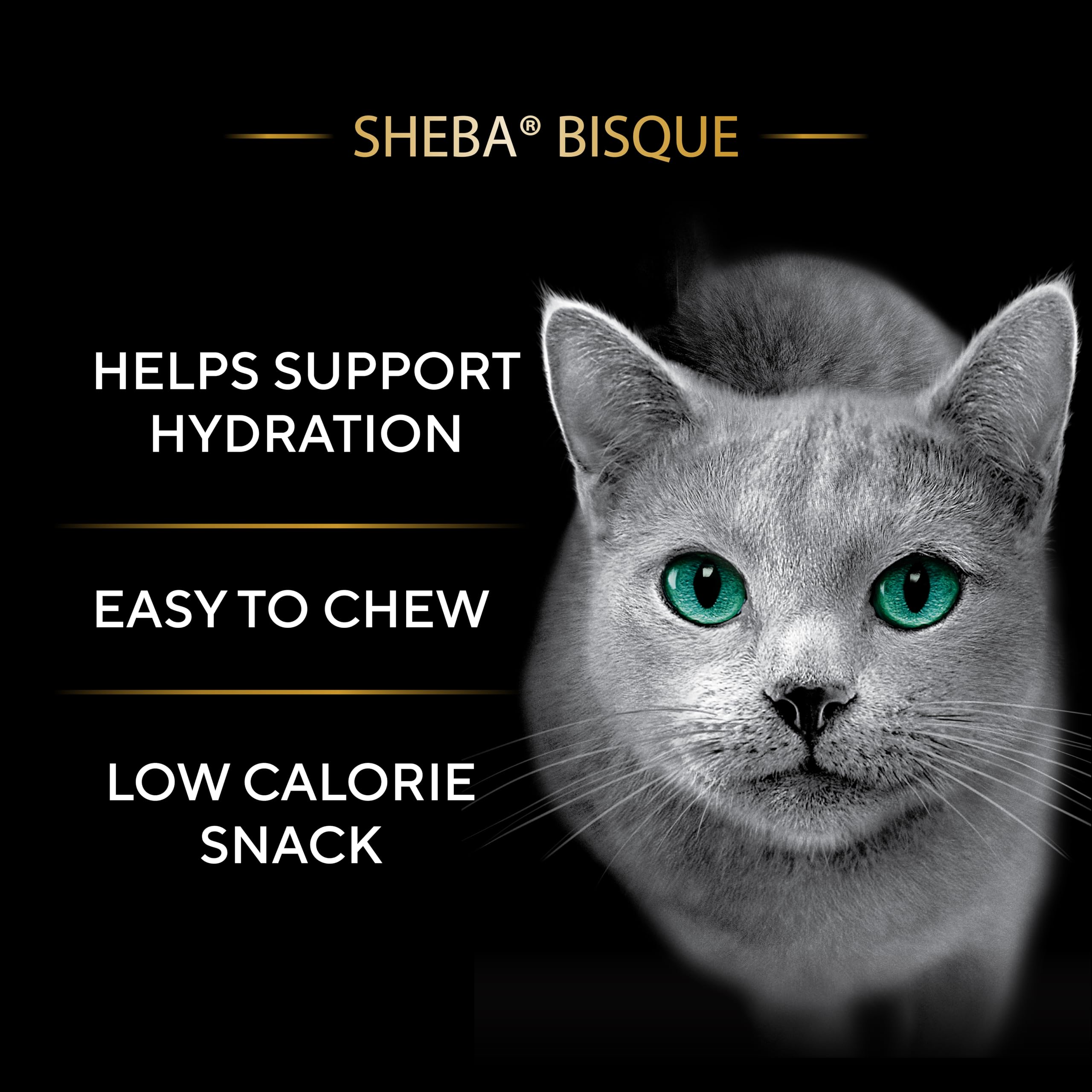 Morceaux thon réels dans Bisque: protéines pour chat