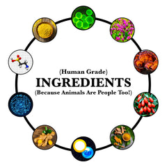 More Dog Days: curcuma et curcumine, antioxydants naturels.