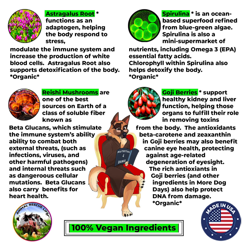 More Dog Days: Reishi champignon médicinal pour le soutien immunitaire.