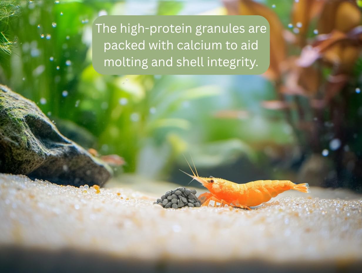 MorexLab Crevettes : arôme naturel et ingrédients de qualité pour l'aquarium.