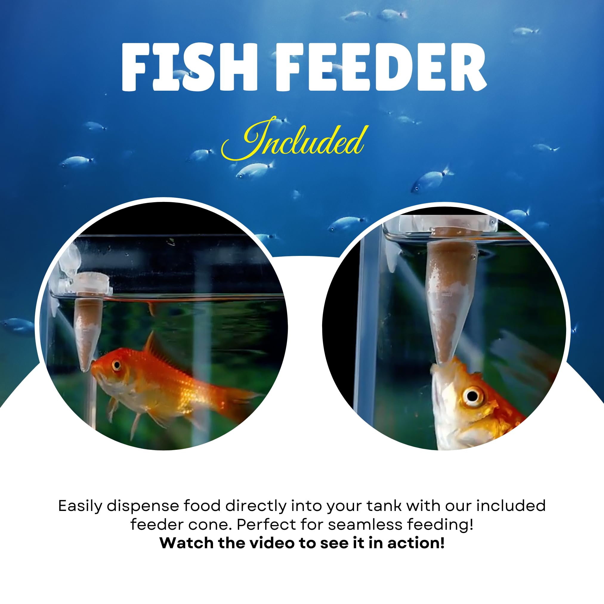 MorexLab utilisation-aquarium: convient a l'aquarium d'eau douce et marine