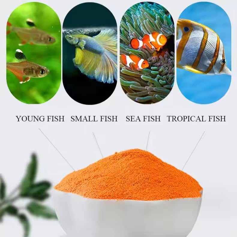 MorexLab proteines: teneur elevee en proteines pour la croissance des poissons