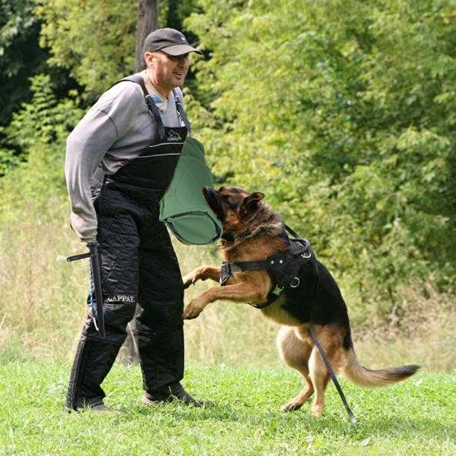 Morezi baton dressage chien morsure, guidage et contrôle facilités.