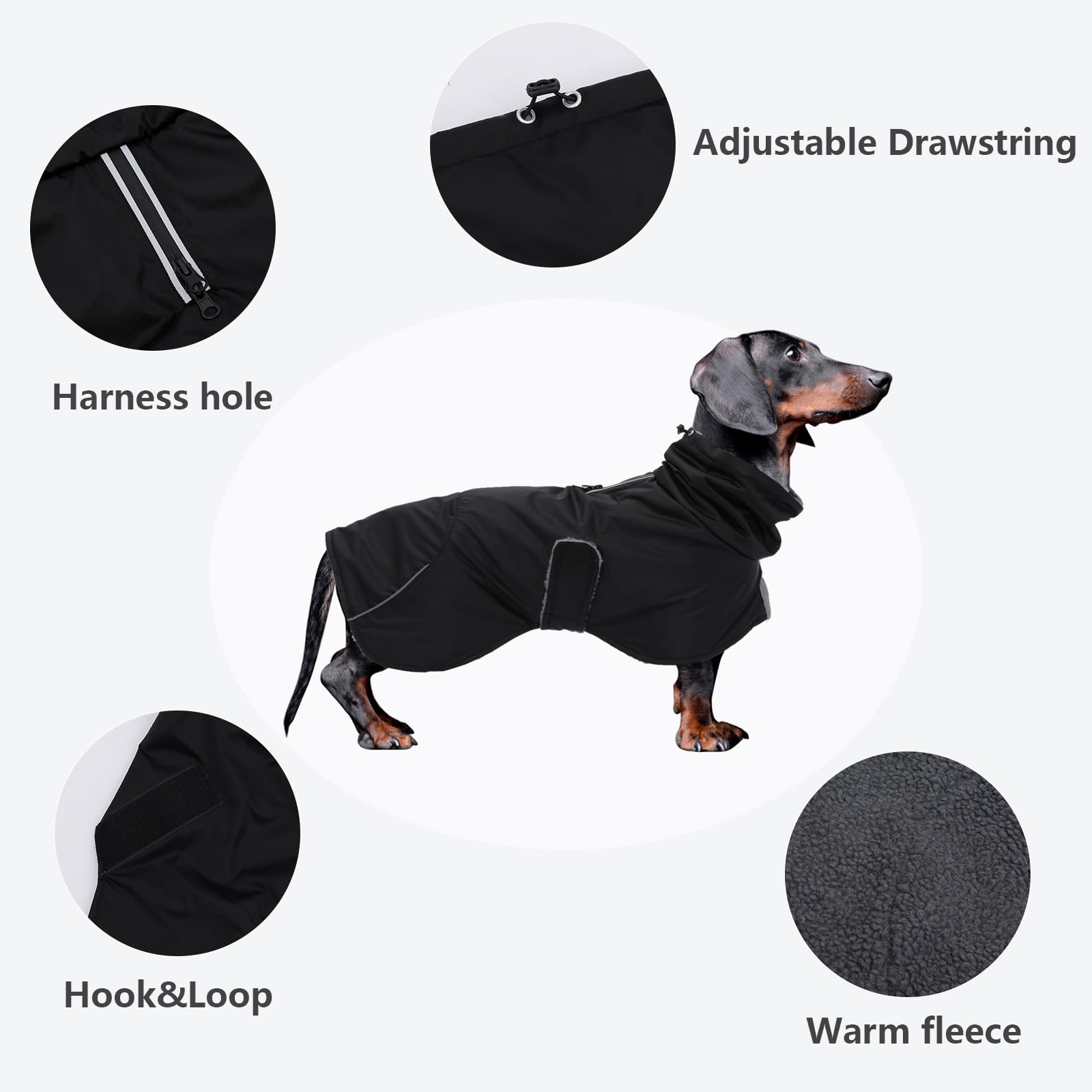 Bord réfléchissant Morezi, visibilité nocturne améliorée pour dachshund