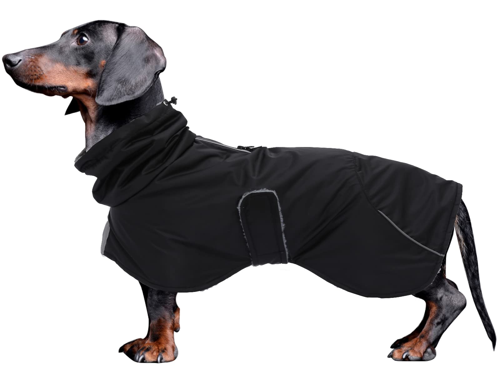 Manteau imperméable Morezi pour dachshund noir, protection contre la pluie
