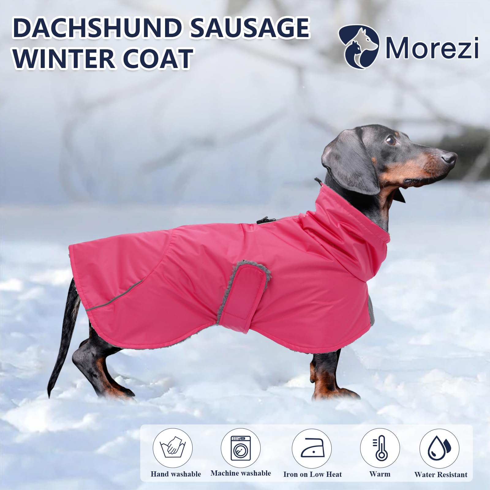 Doublure polaire Morezi pour teckel, chaleur douce lors des sorties froides.