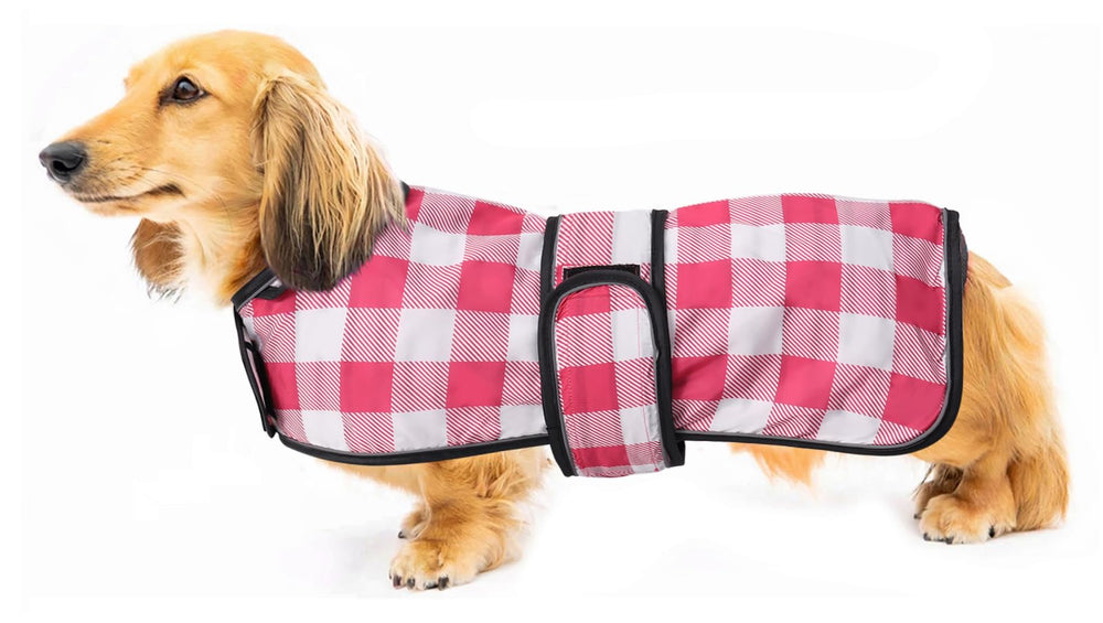 Morezi imperméable dachshund rose-plaid, vue frontale protègent contre la pluie.