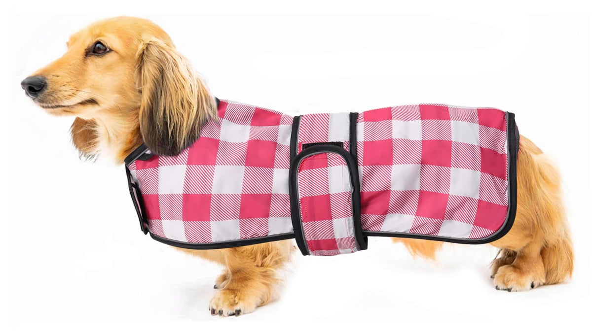 Morezi imperméable dachshund rose-plaid, vue frontale protègent contre la pluie.