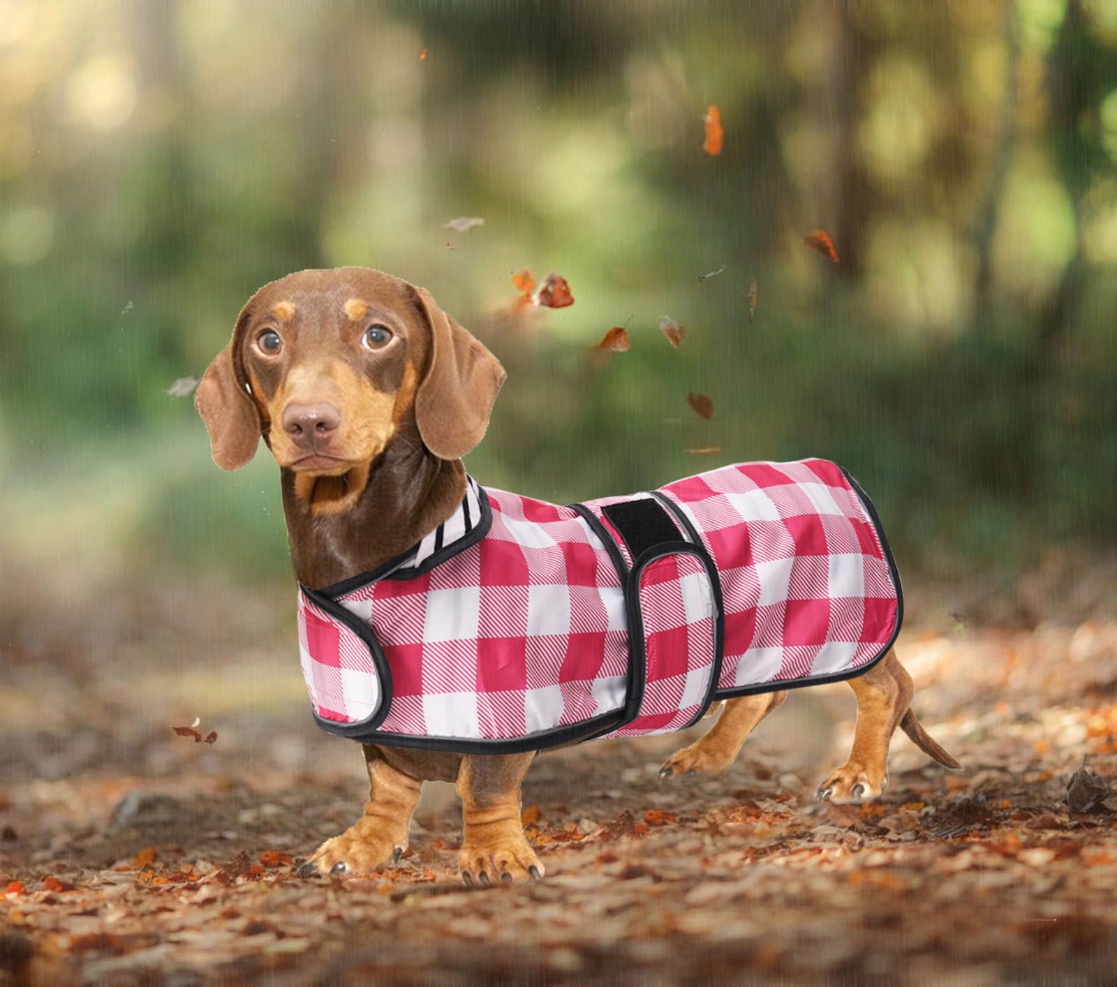 Morezi imperméable dachshund rose-plaid, lavable en machine pour entretien facile.