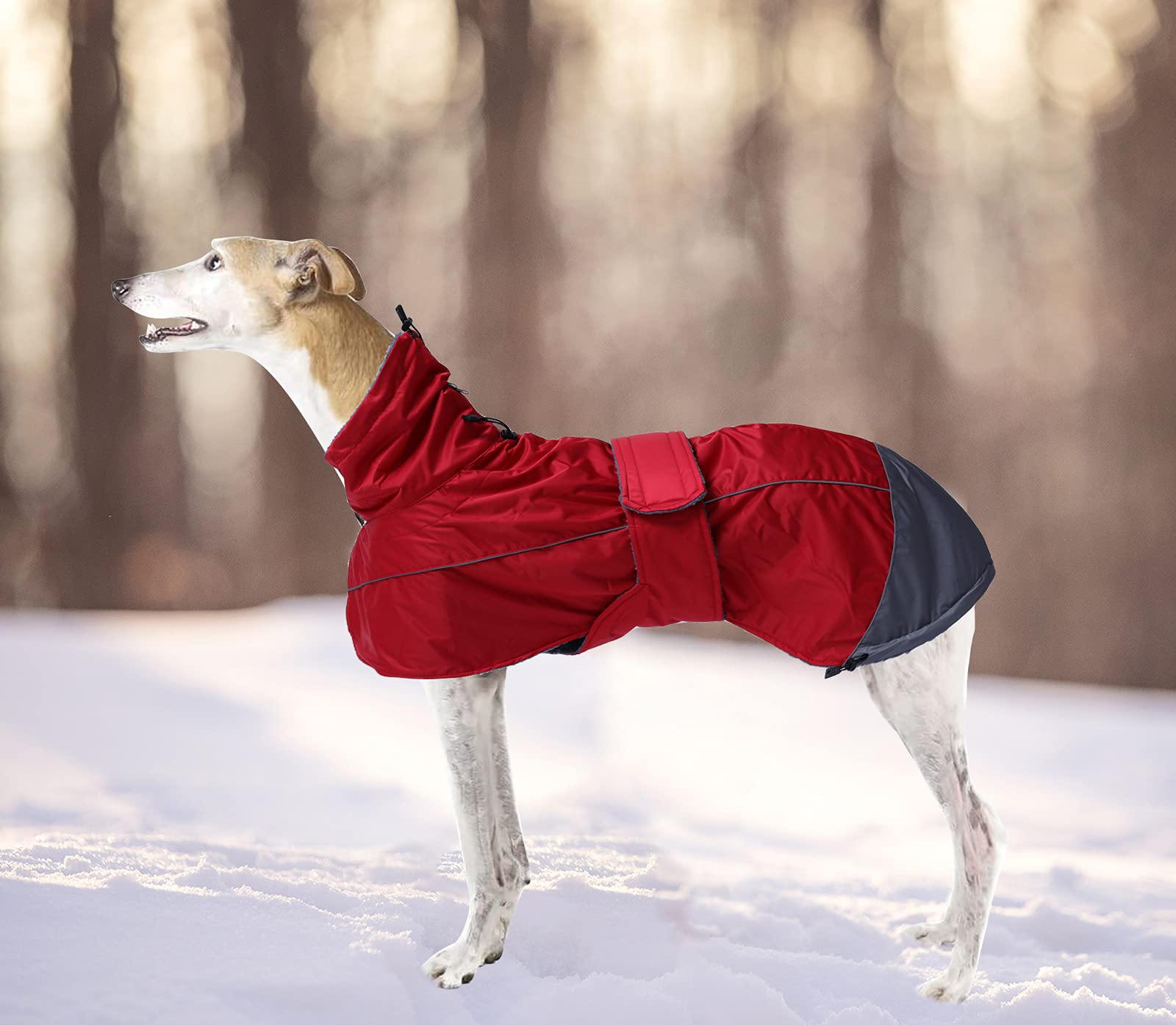Entretien facile: lavable en machine à froid pour les chiens lévriers.