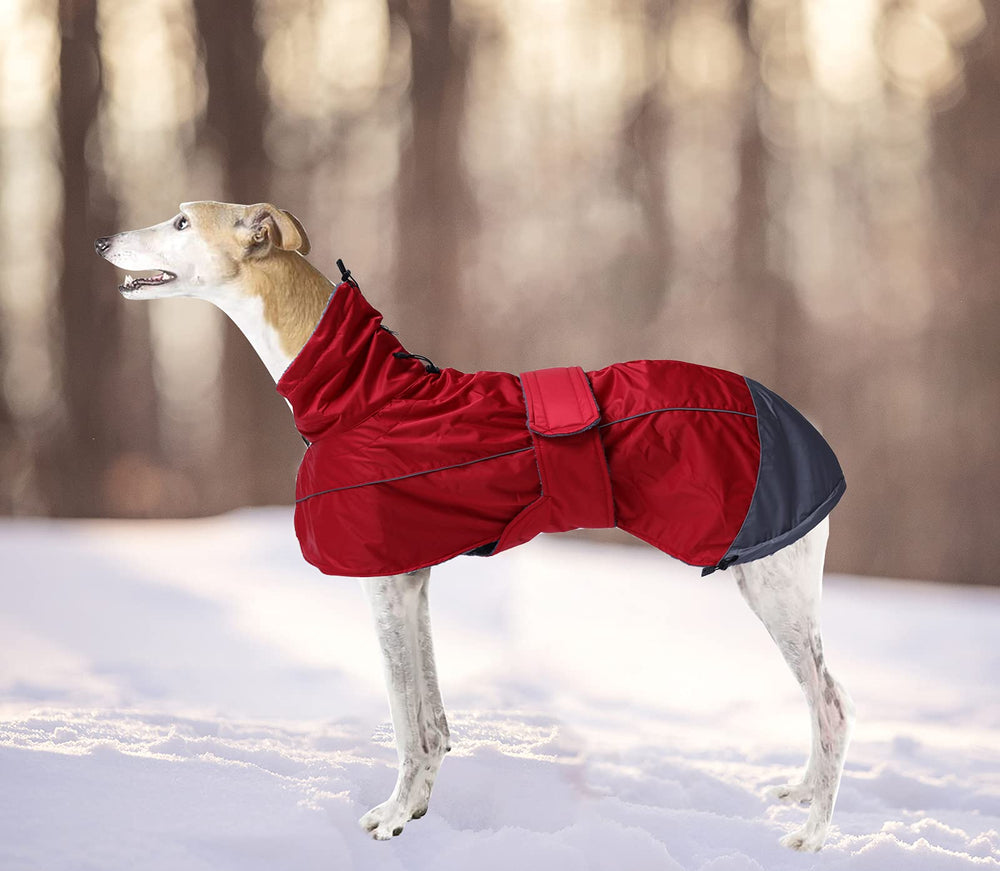 Entretien facile: lavable en machine à froid pour les chiens lévriers.