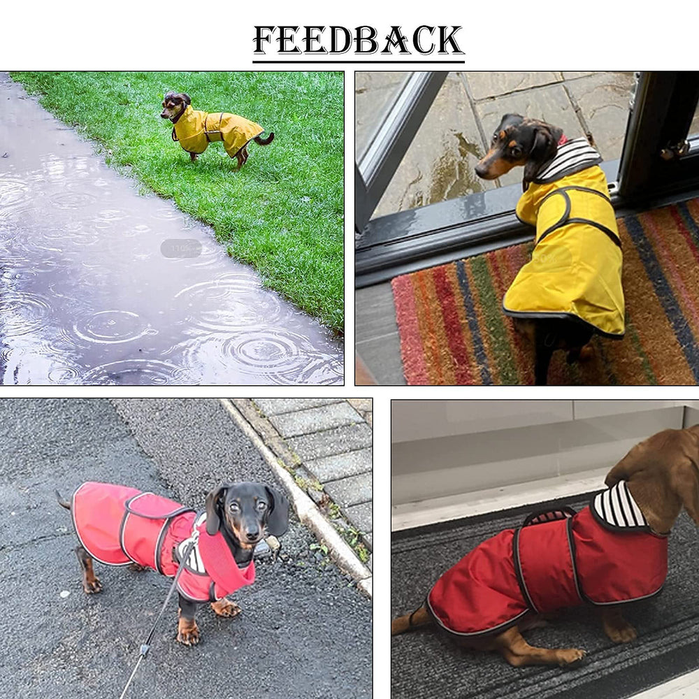 Manteau Morezi lavable en machine, entretien pratique pour chien.