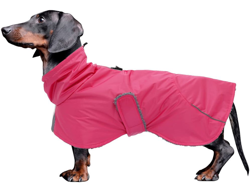 Manteau Morezi imperméable pour teckel rose, protege lors des sorties pluvieuses.