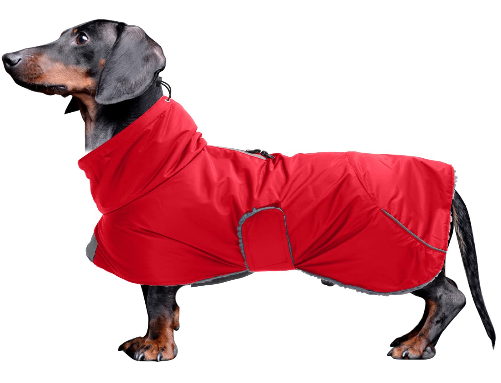Manteau Morezi dachshund imperméable rouge pour protéger contre la pluie