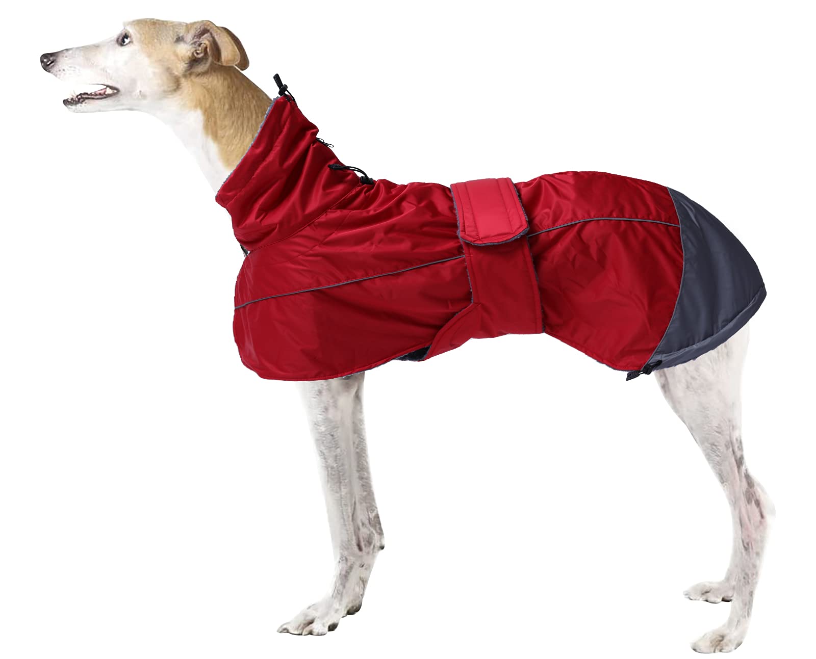 Manteau imperméable Morezi pour lévrier, chaleur et protection contre la pluie.