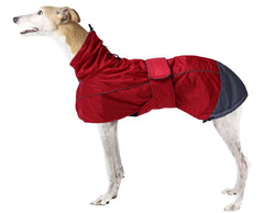 Manteau imperméable Morezi pour lévrier, chaleur et protection contre la pluie.
