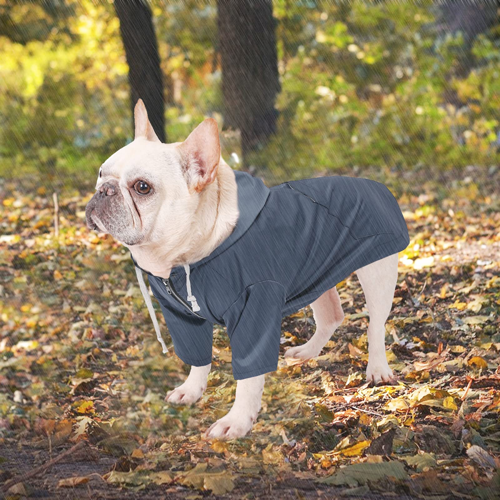 Morezi manteau pluie chien bleu avant, garde votre chien sec lors des sorties.