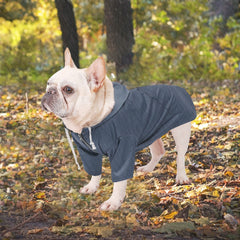 Morezi manteau pluie chien bleu avant, garde votre chien sec lors des sorties.