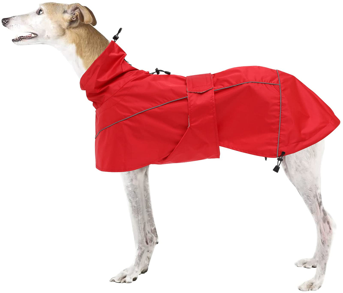 Manteau pluie Morezi pour lévrier, vue avant, protection adaptée.