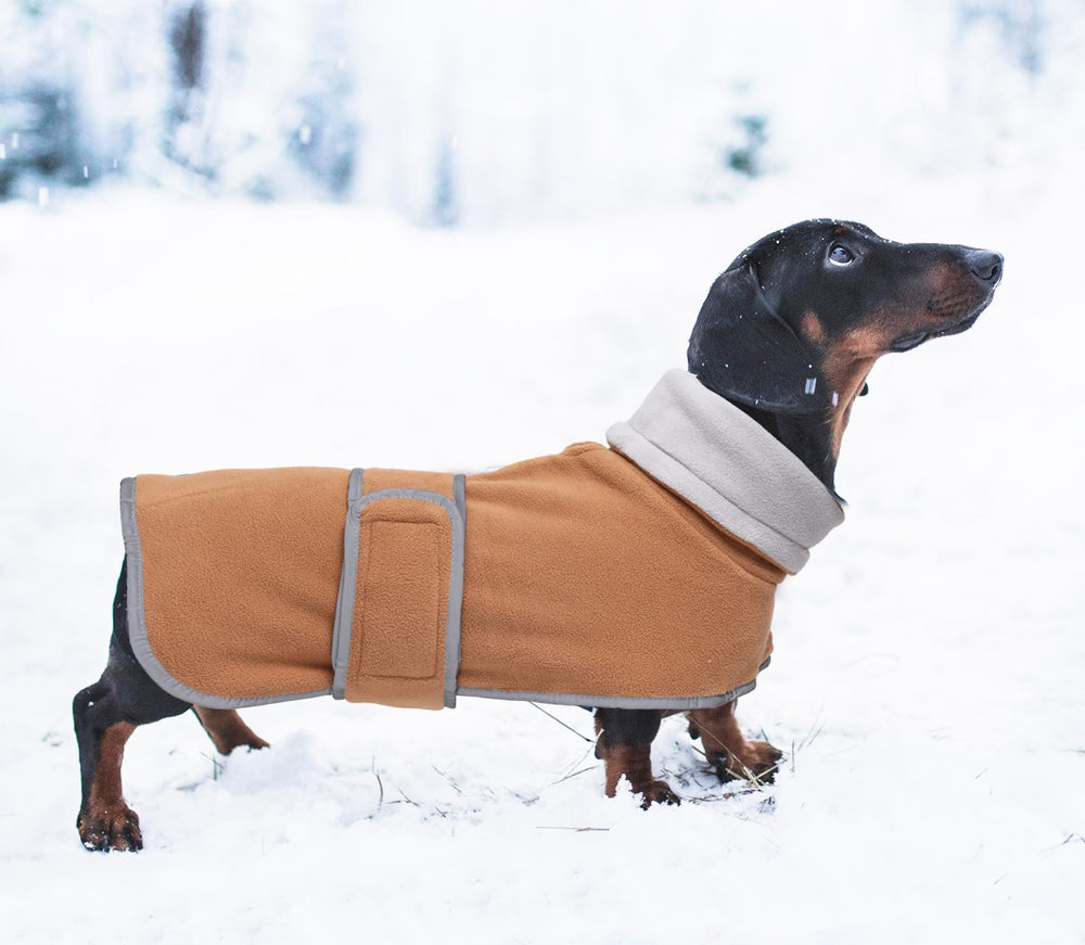 Manteau Morezi pour teckel, lavage en machine pour un entretien facile.