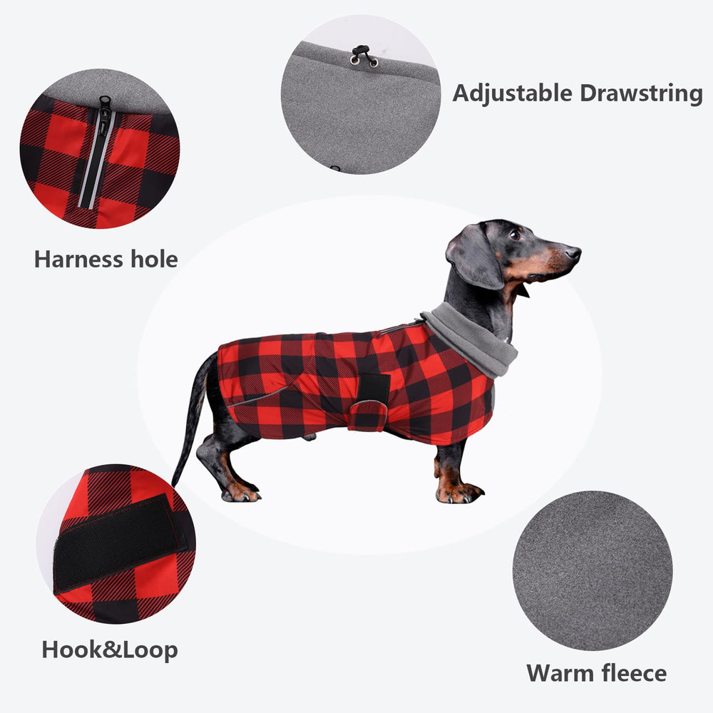Morezi manteau teckel réfléchissant pour sécurité nocturne