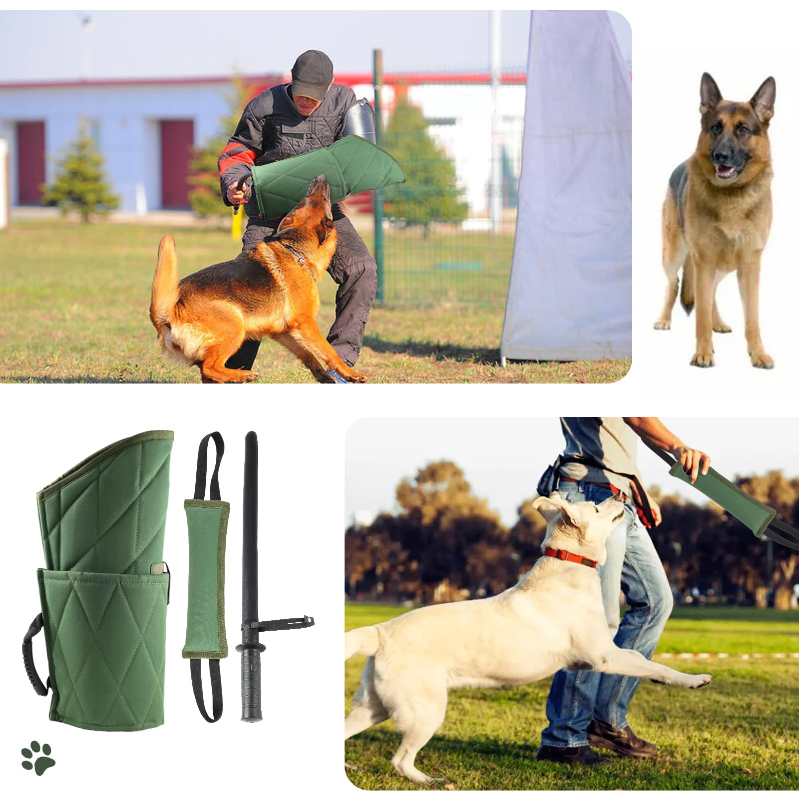Morezi sangle dressage morsure chien, accessoire polyvalent pour sessions guidées.