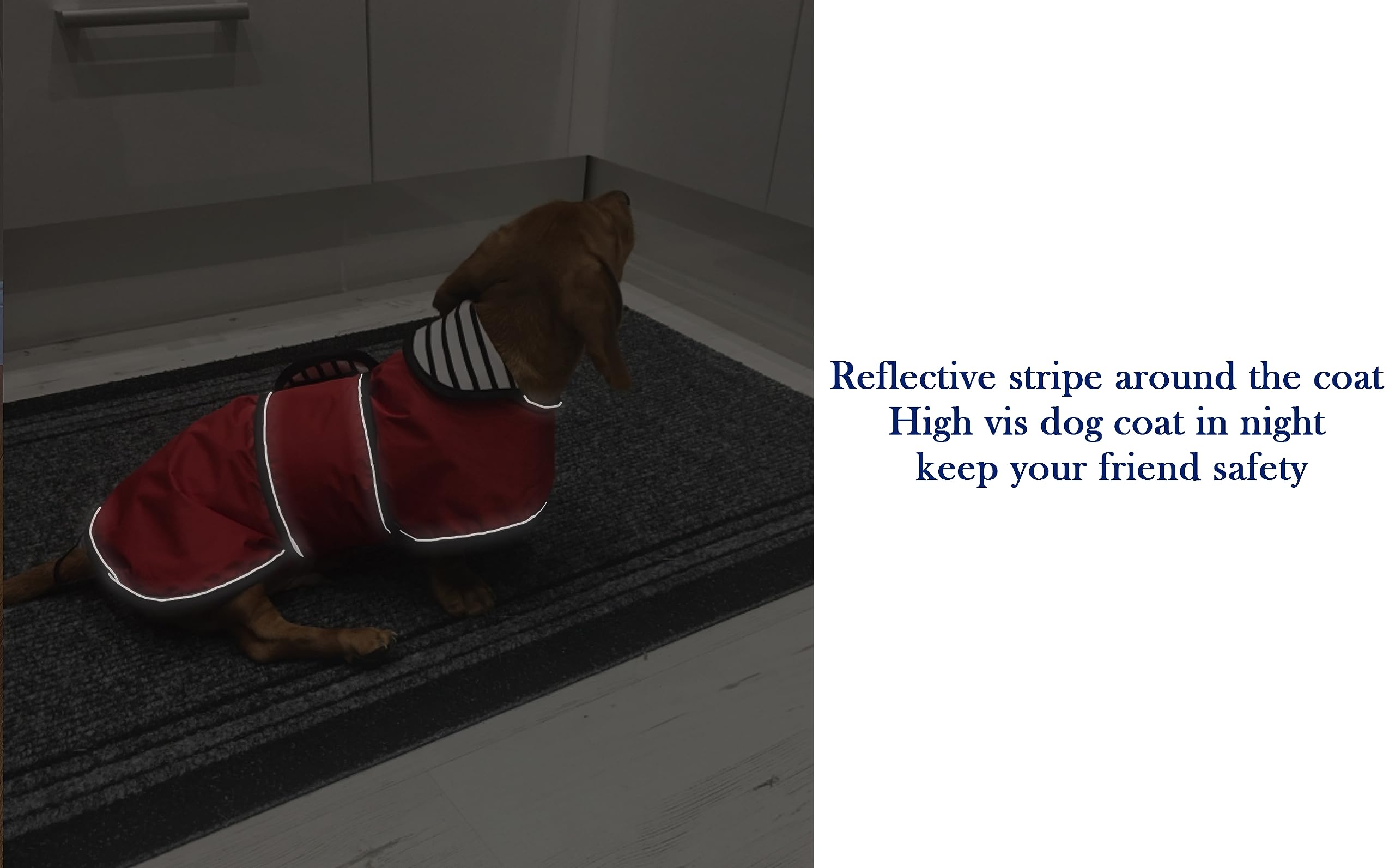 Trou pour harnais sur Morezi, manteau imperméable facile à enfiler pour chien.