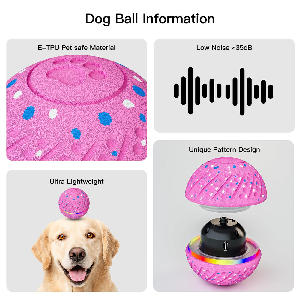 Mode Fou morhandisn pour chiens énergiques et motivés