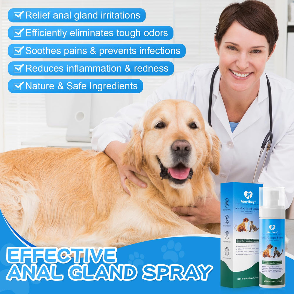 Morikey application sans-contact Anal : méthode douce et efficace.