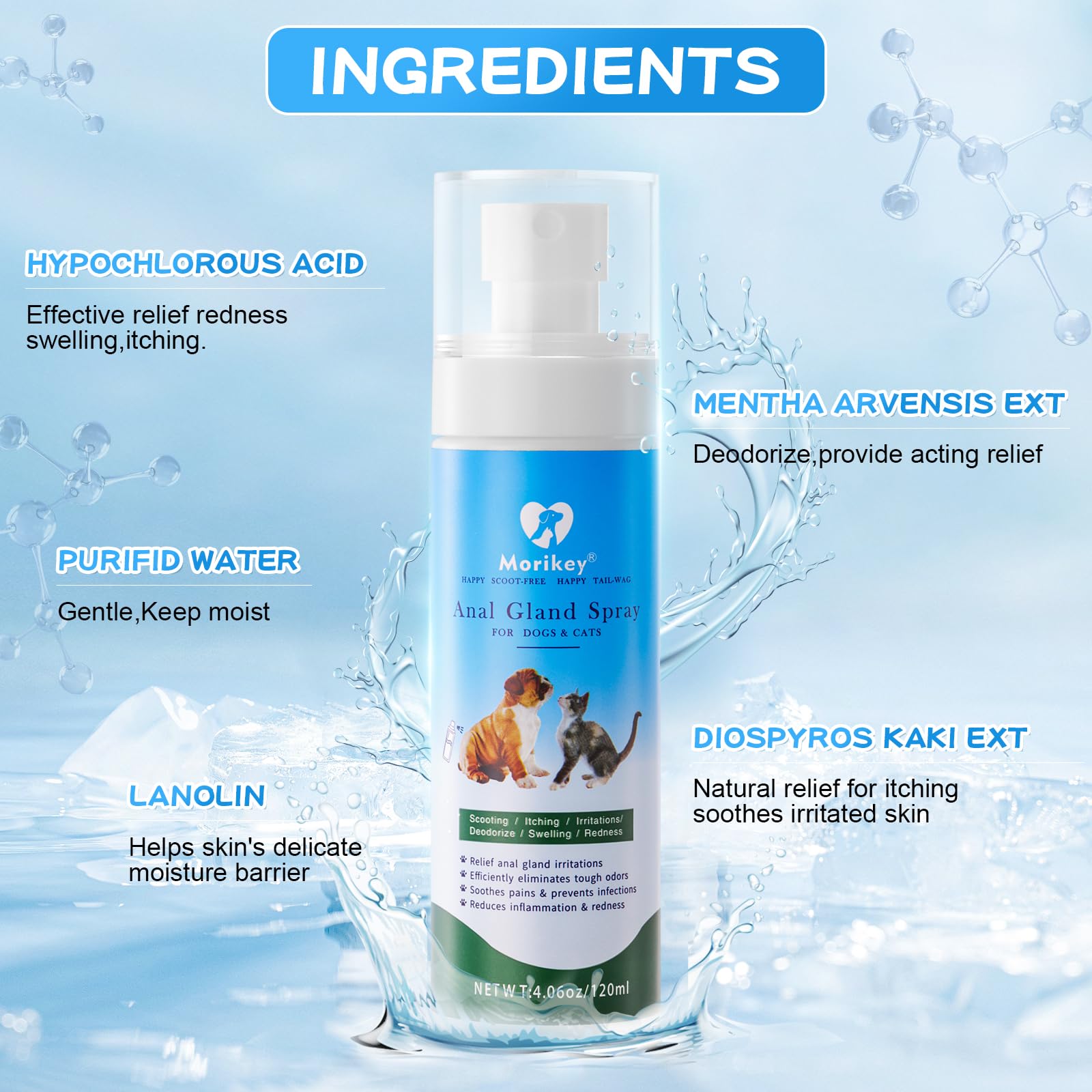 Morikey bouteille spray anal Chien Chat : application pratique à domicile.