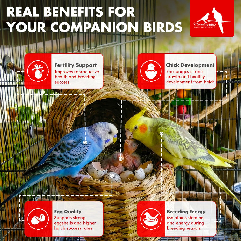 Poussins en croissance nourris par Morning Bird Breeders Blend.