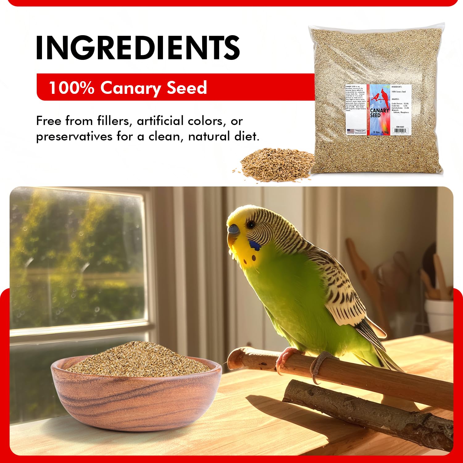 Morning Bird Calcium et Phosphore – soutien des os des oiseaux