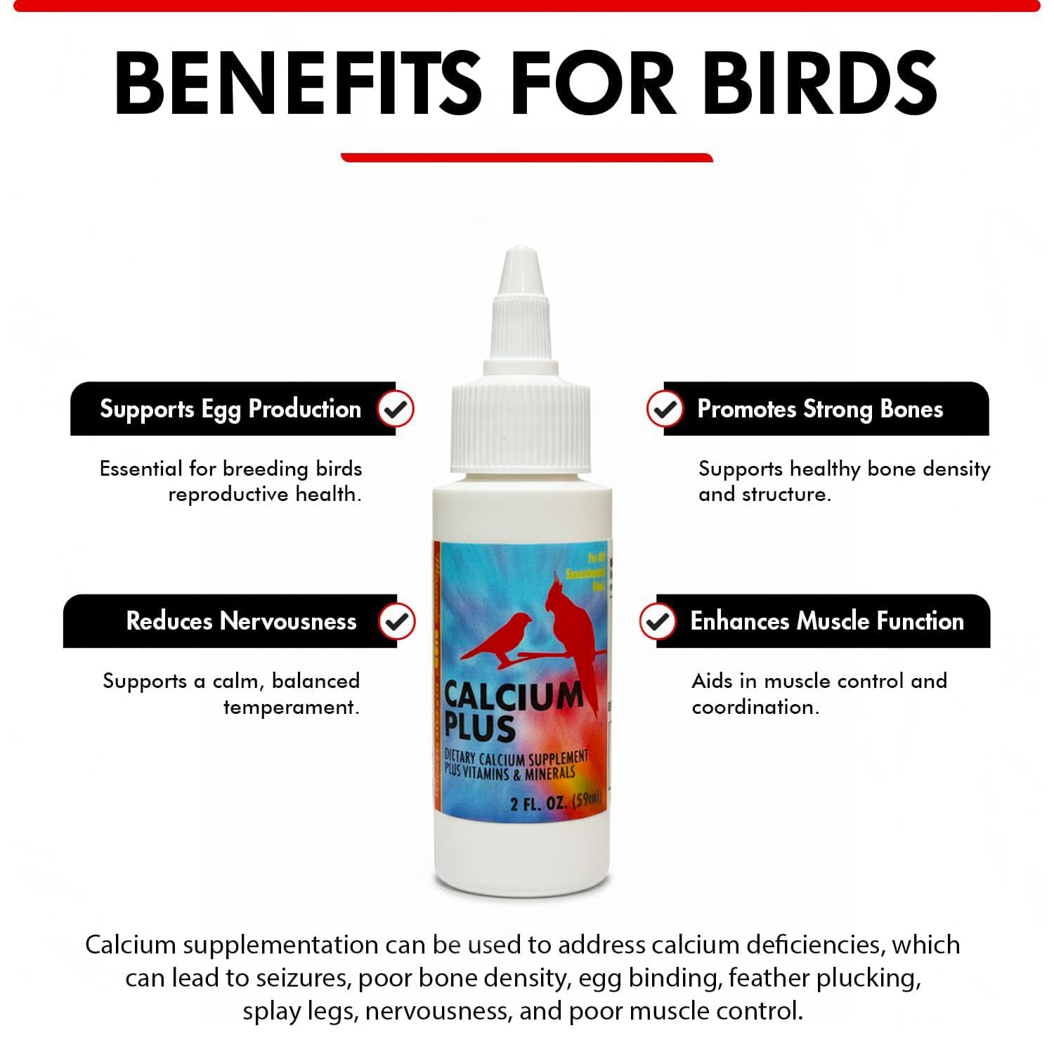 Morning Bird Calcium Plus Liquid – ingrédients clés vitamine D3 et magnésium pour soutenir la digestion.