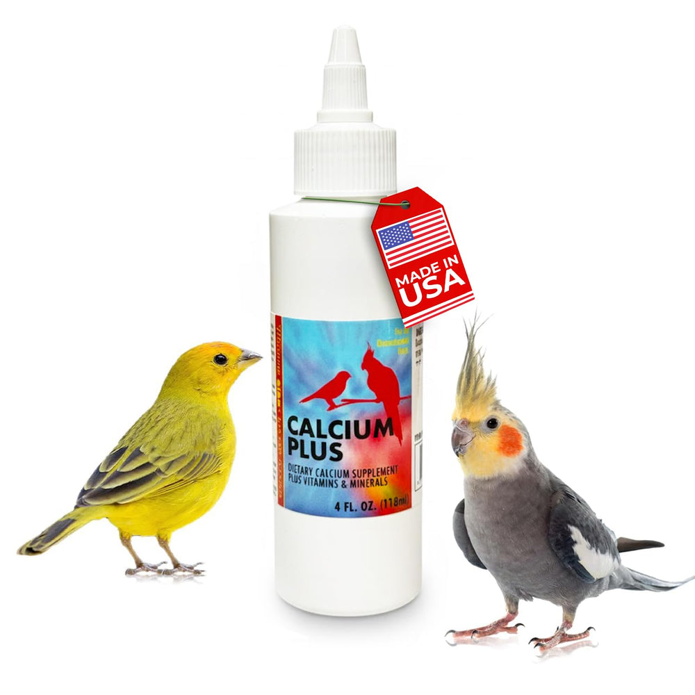 Morning Bird Calcium Plus Liquid, bouteille 4 onces, apport rapide pour des os solides.