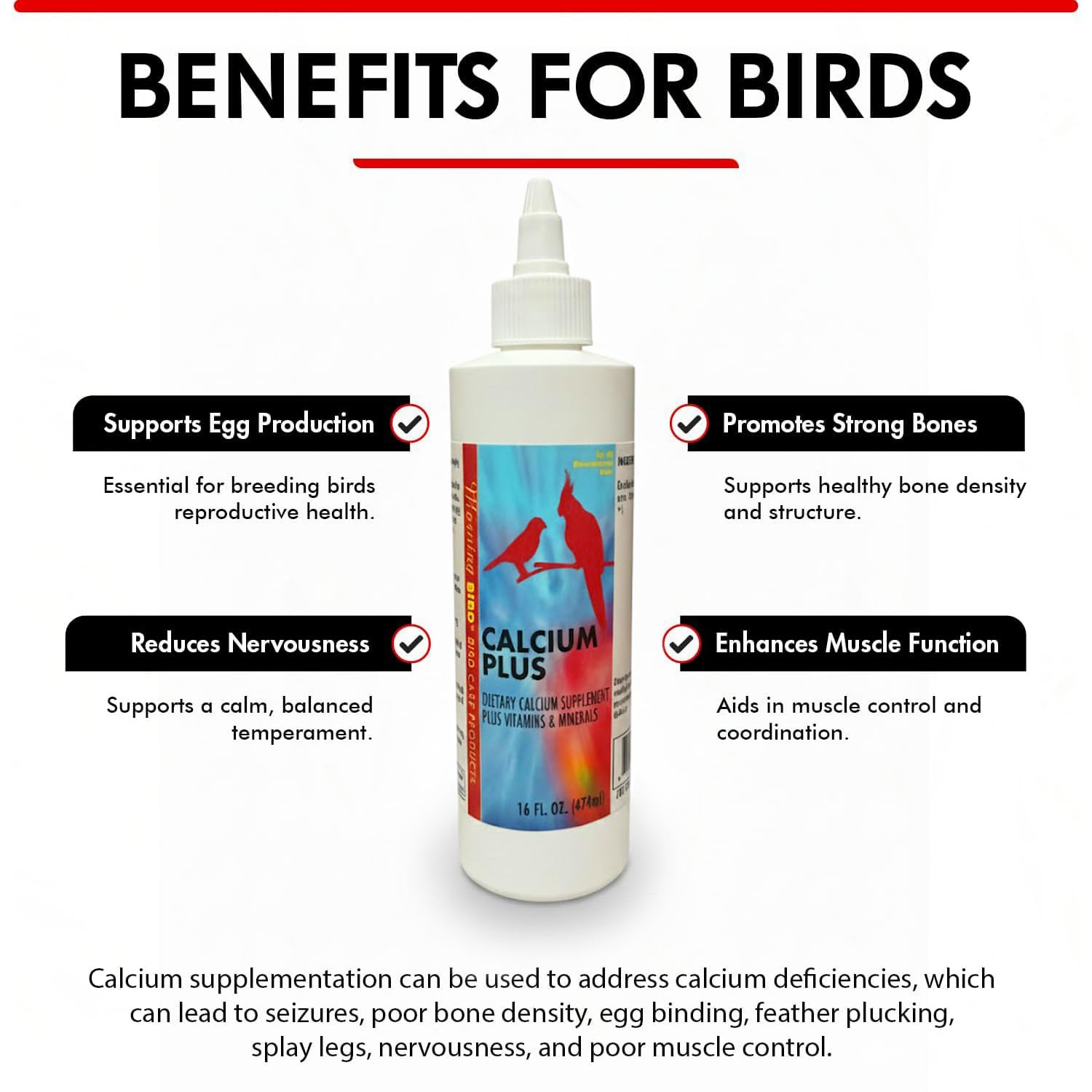Administration directe dans le jabot avec Morning Bird Calcium Plus.