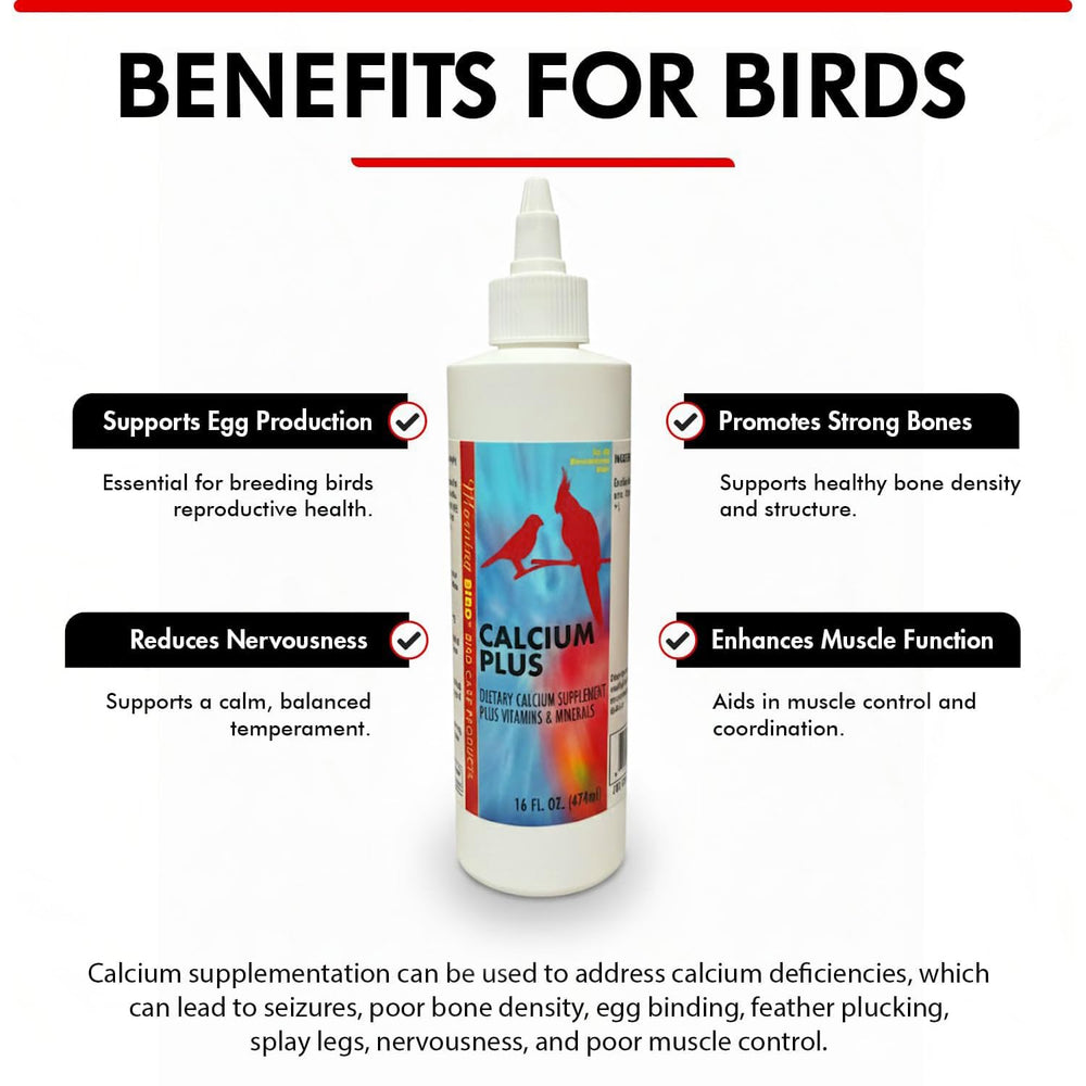 Administration directe dans le jabot avec Morning Bird Calcium Plus.