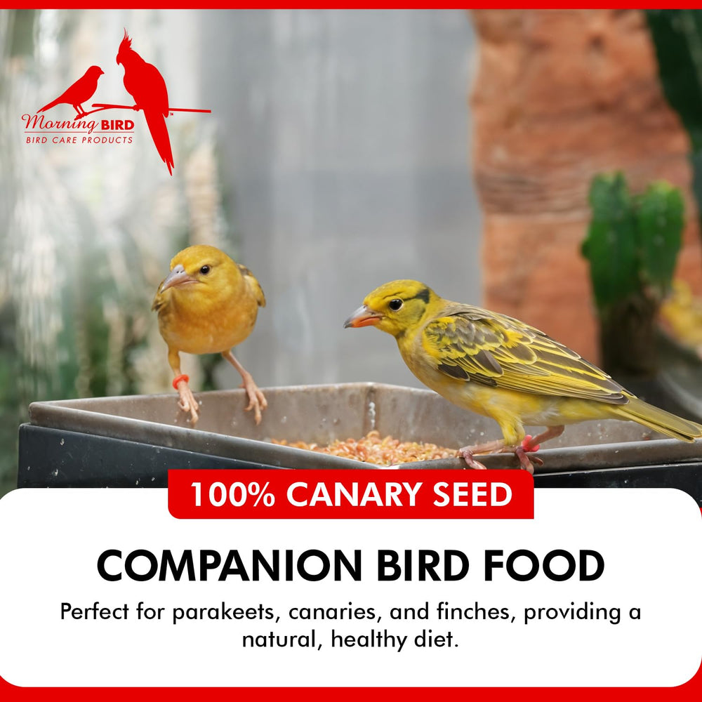 Morning Bird Convient aux canaris, pinsons et perruches