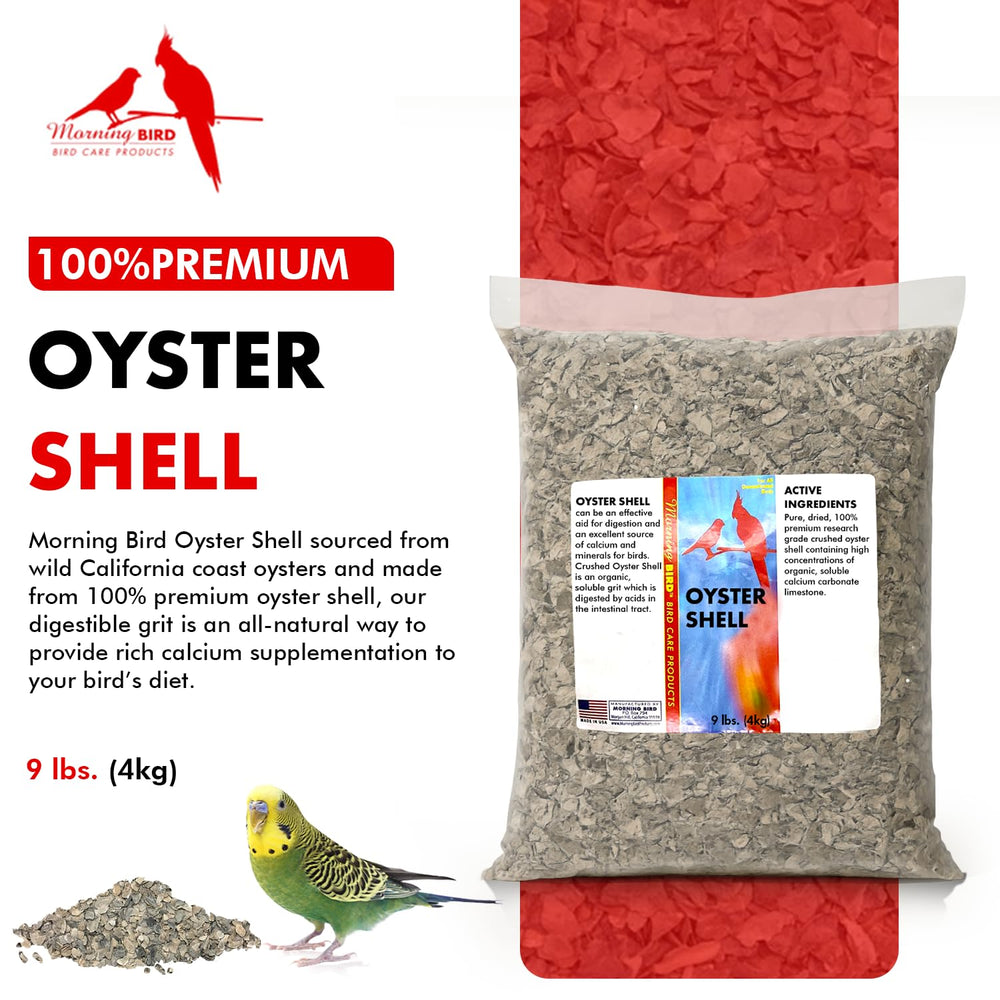 Morning Bird Coquille d'Huître – grains fins favorisant digestion et absorption.