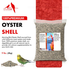 Morning Bird Coquille d'Huître – grains fins favorisant digestion et absorption.