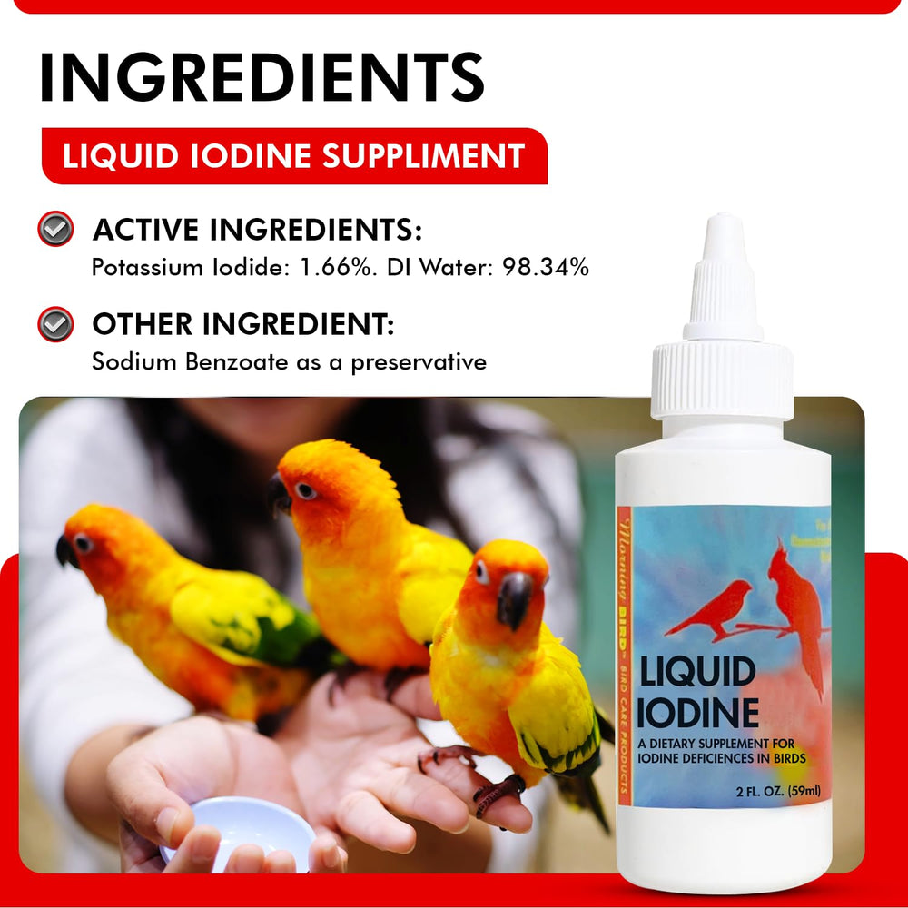 Morning Bird énergie, gouttes iode, soutien vitalité quotidienne.