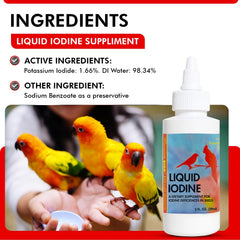 Morning Bird énergie, gouttes iode, soutien vitalité quotidienne.
