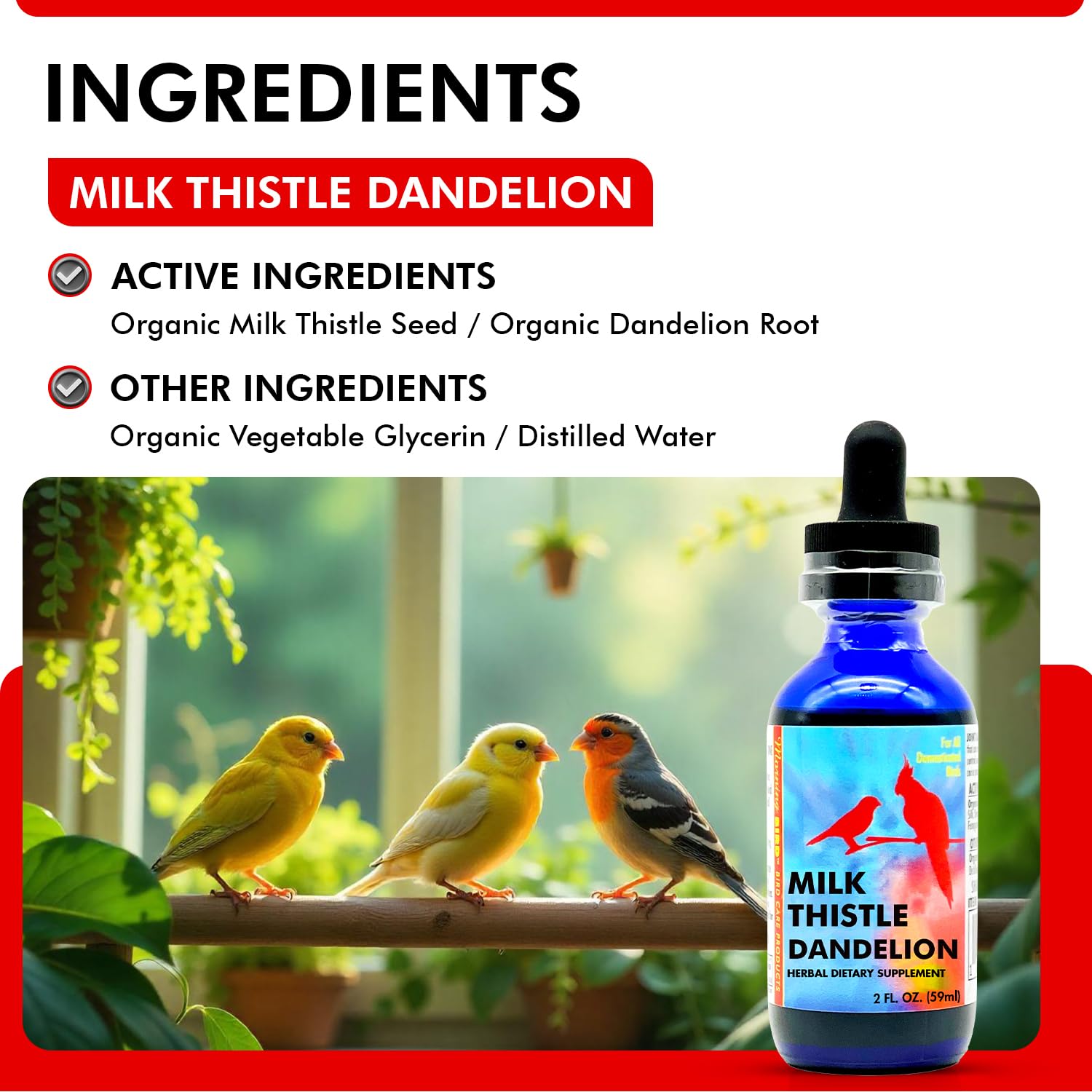 Morning Bird étiquette produit claire, informations utiles pour l'achat.