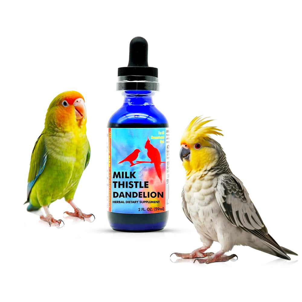 Morning Bird extrait plantes en bouteille avec gouttes, soutien potentiel du foie des oiseaux.