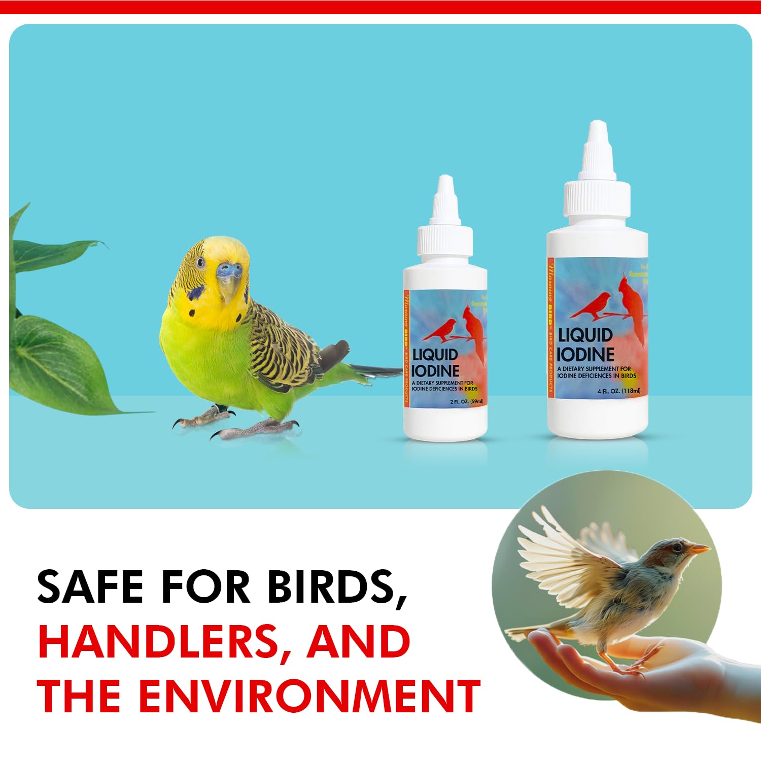 Morning Bird gouttes douces, utilisation quotidienne sans additifs agressifs.